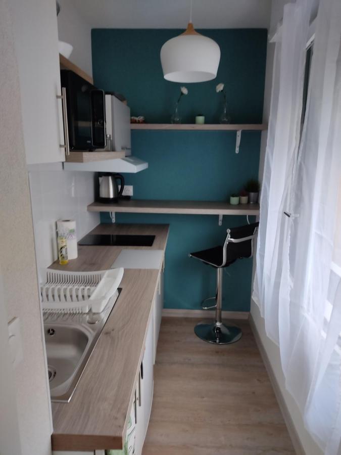 Studio Cosy Proche Du Centre + Parking Gratuit Cluses Eksteriør bilde